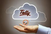 tally on cloud accounting software online