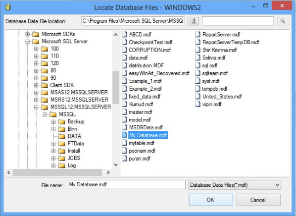 Locate Database Files