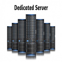 Dedicated Server Hosting