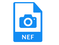 NEF Viewer