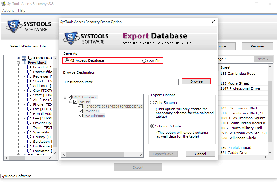 Export Access MDB Items