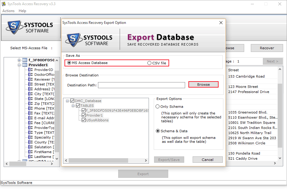 Access export