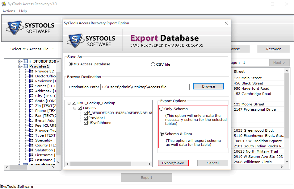 Dual ACCDB Export Option
